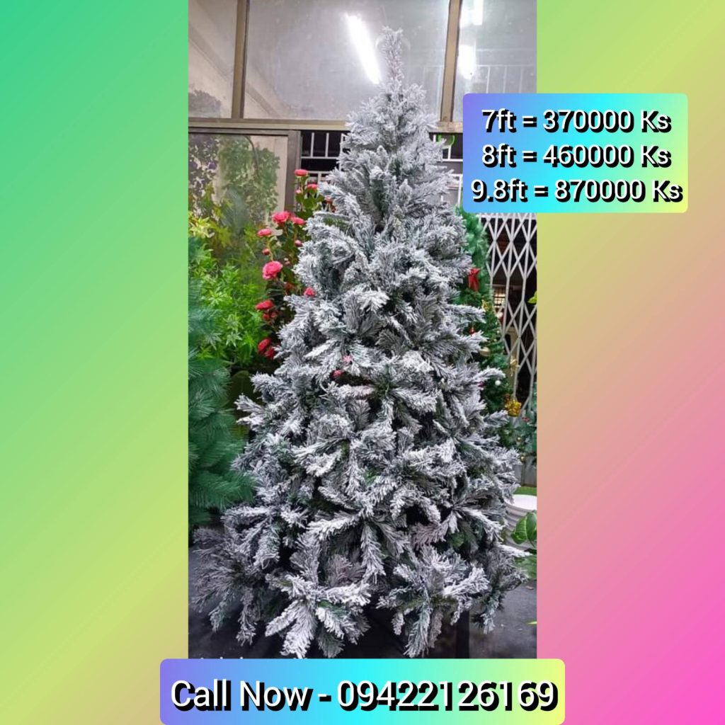 Buy Christmas Tree & Santa Claus 