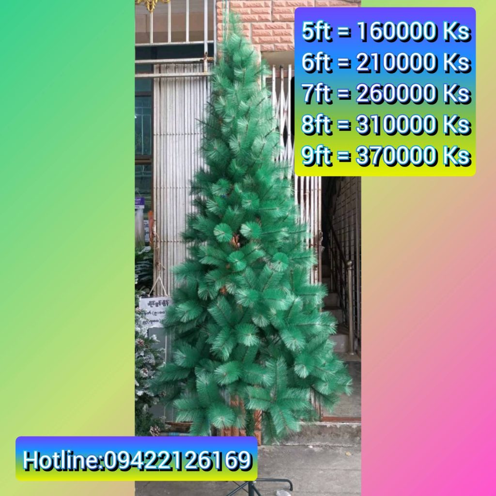 Buy Christmas Tree & Santa Claus 